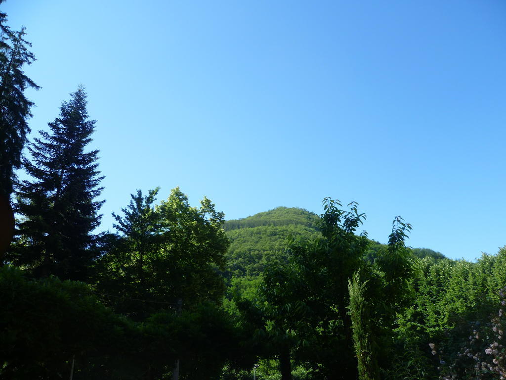 Villa Lucchesi Bagni di Lucca Zewnętrze zdjęcie